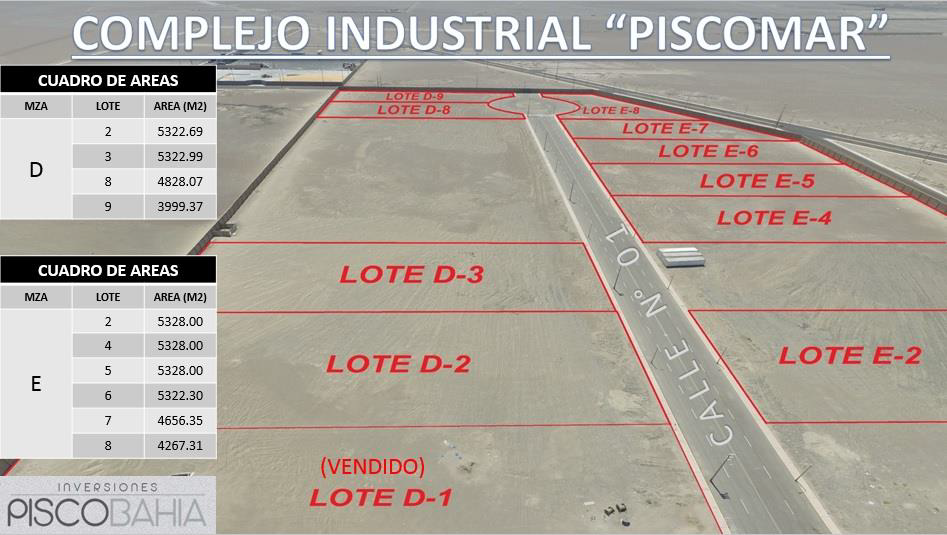 Vista aérea de las manzanas D y E del Complejo Piscomar con los lotes D y E delimitados sobre la Calle N° 01